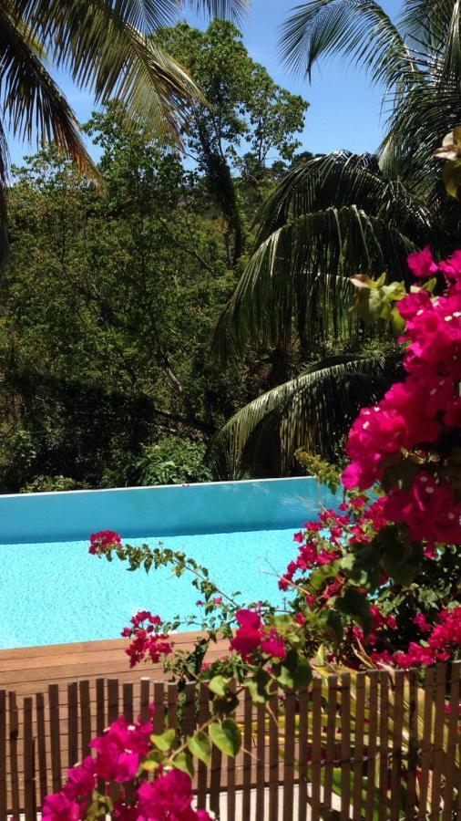 Confortable T1 Le Gosier, Wi-Fi, Piscine Dans Gite Le Gosier  Εξωτερικό φωτογραφία